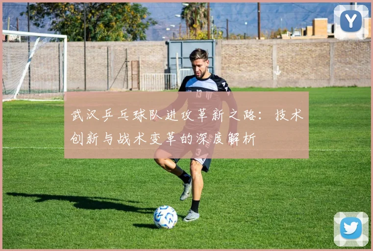 武汉乒乓球队进攻革新之路：技术创新与战术变革的深度解析