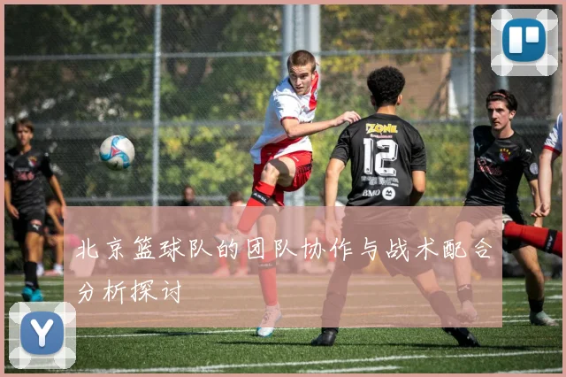 北京篮球队的团队协作与战术配合分析探讨