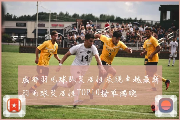成都羽毛球队灵活性表现卓越最新羽毛球灵活性TOP10榜单揭晓
